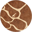 Chaisa Childs profile picture